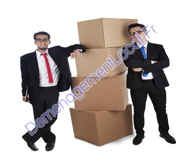 Déménagement Sabaillan