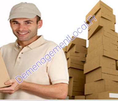 Déménageurs 97231