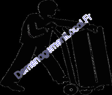 Déménageurs 62378