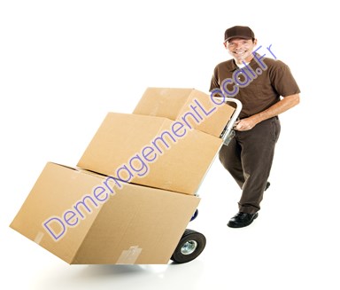 Déménageurs 67482
