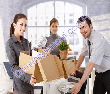 Déménagement Albine
