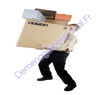 Déménageurs 65048