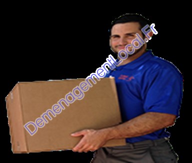 Déménageurs 89307